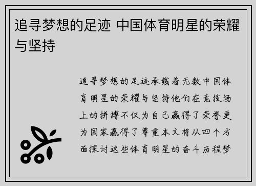 追寻梦想的足迹 中国体育明星的荣耀与坚持