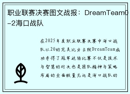职业联赛决赛图文战报：DreamTeam0-2海口战队